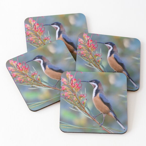 Item preview, Eastern Spinebill in Grevillea designed and sold by RAFImages.