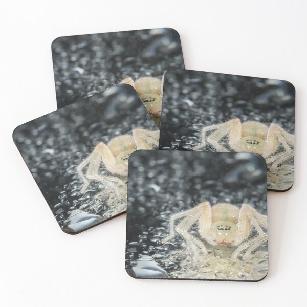Item preview, White Spider Classical  designed and sold by Sam-DesignMart.