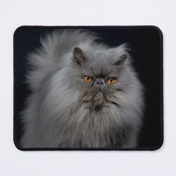 Item preview, Stunning Persian Cat designed and sold by Brad F.