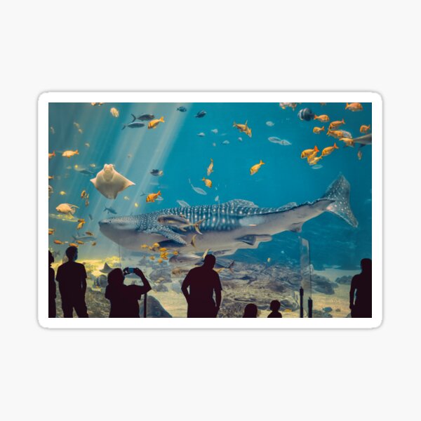 Item preview, Whale shark at the Georgia Aquarium designed and sold by RichScalzo.