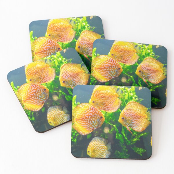 Item preview, Discus Fish in the Georgia Aquarium designed and sold by RichScalzo.