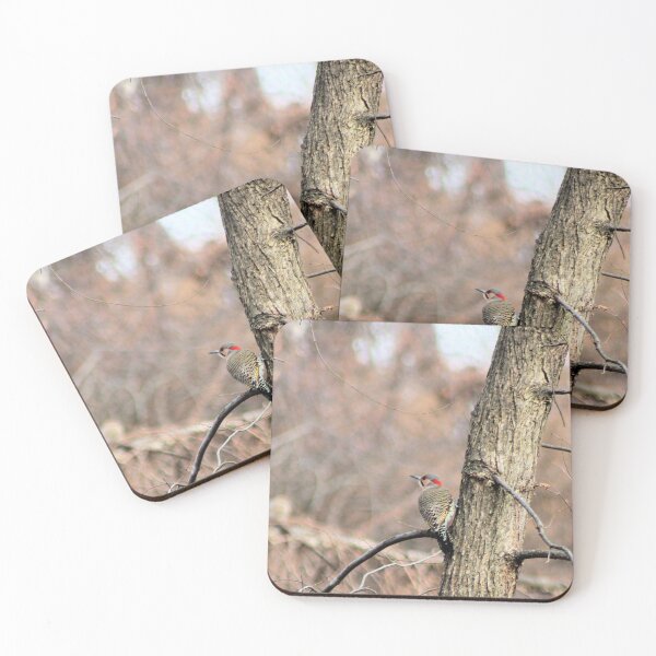 Item preview, NORTHERN FLICKER designed and sold by BOLLA67.
