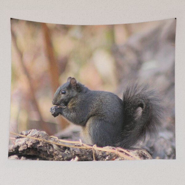 Item preview, THE BLACK SQUIRREL designed and sold by BOLLA67.