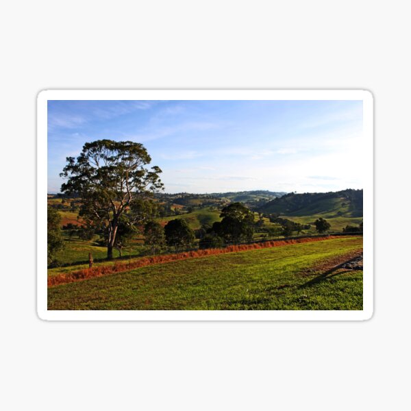 Item preview, Bega, NSW designed and sold by Evita.