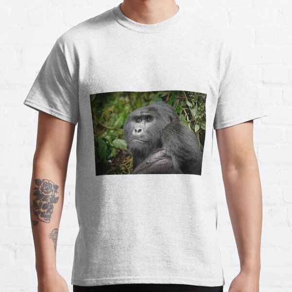 Portraet eines Silberruecken Berggorilla, Bwindi, Uganda Classic T-Shirt