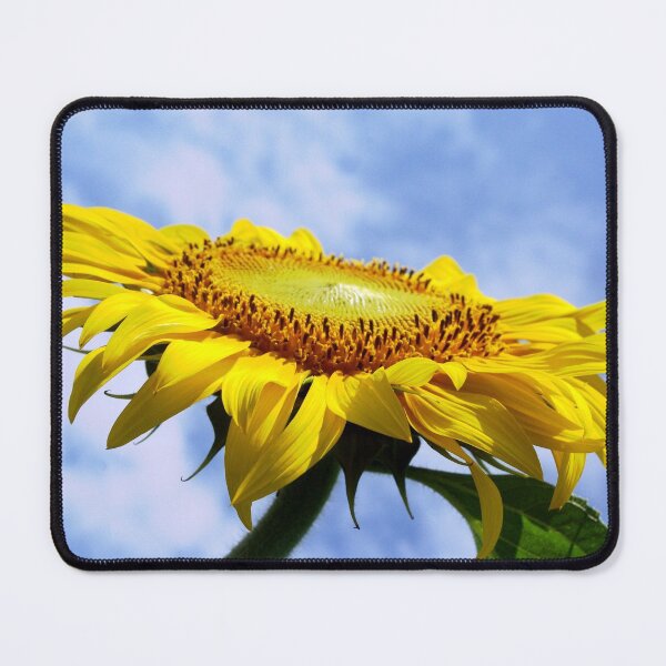 Item preview, Sunflower  designed and sold by Rainy.