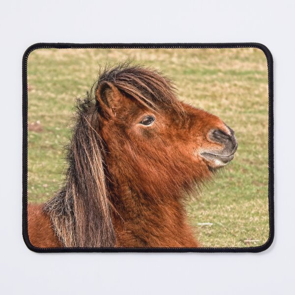 Item preview, Shetland Pony in the New Forest designed and sold by Dalyndigital Photography.