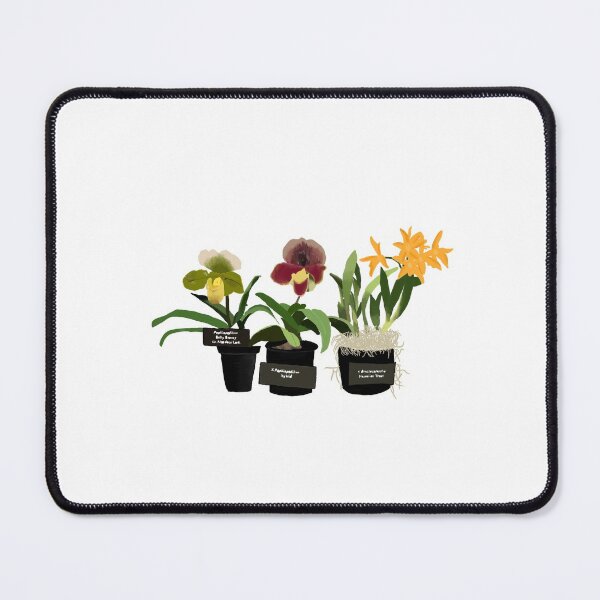 Item preview, Three Potted Flowers designed and sold by gabriellekateri.