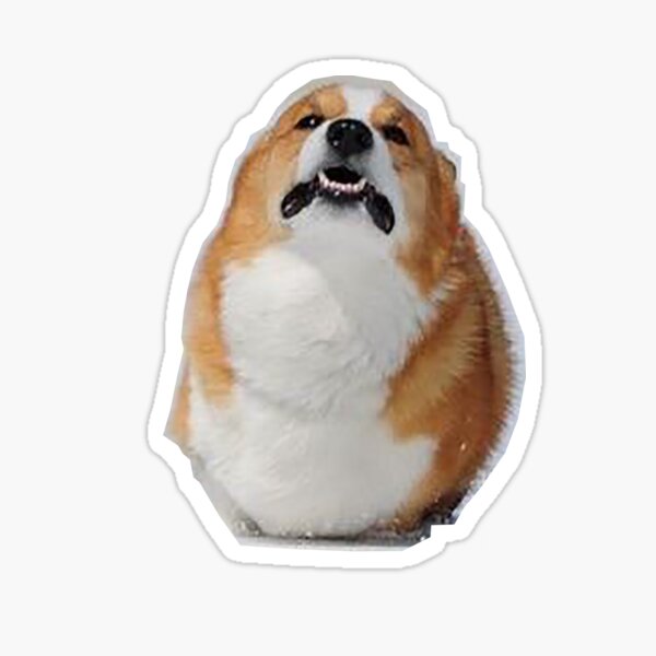 Dog Jumping Stickers Redbubble - lol dogz roblox