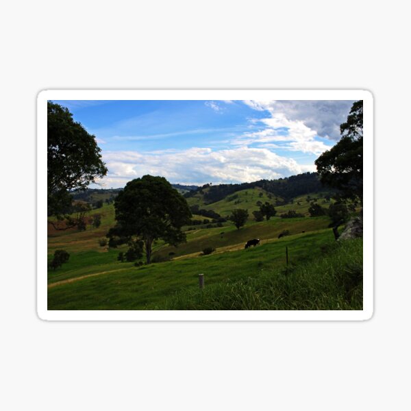 Item preview, Bega, NSW designed and sold by Evita.