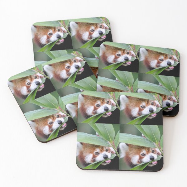 Item preview, I'm just a Guy who likes Red Pandas designed and sold by ArtTheresaLynn1.