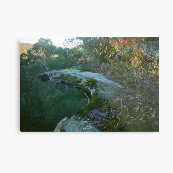Item preview, Bushwalking  designed and sold by reegan curnoe.