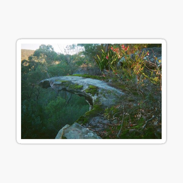 Item preview, Bushwalking  designed and sold by reegan curnoe.
