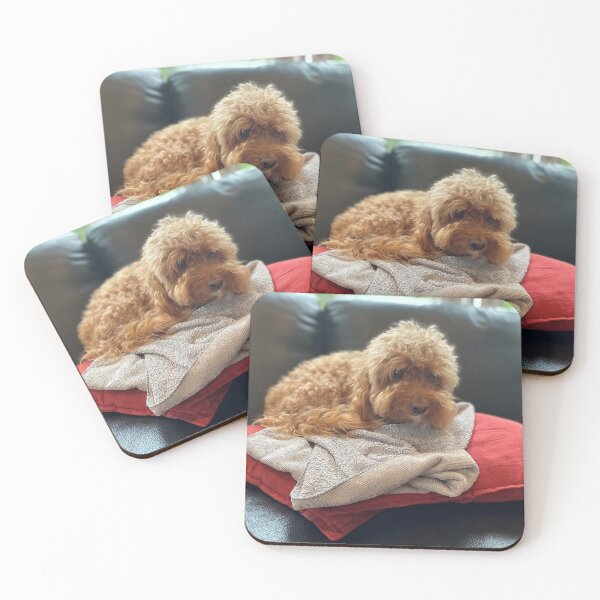 Item preview, Moodle resting designed and sold by JPennicott.