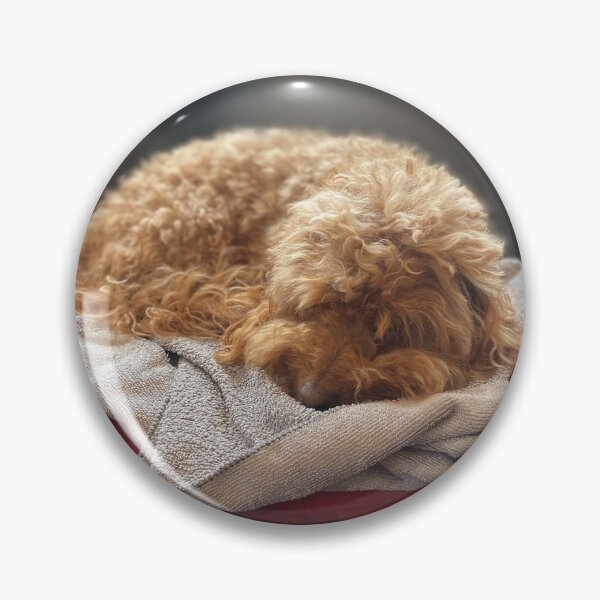 Item preview, Sleeping Moodle designed and sold by JPennicott.