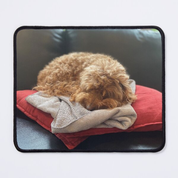 Item preview, Sleeping Moodle designed and sold by JPennicott.