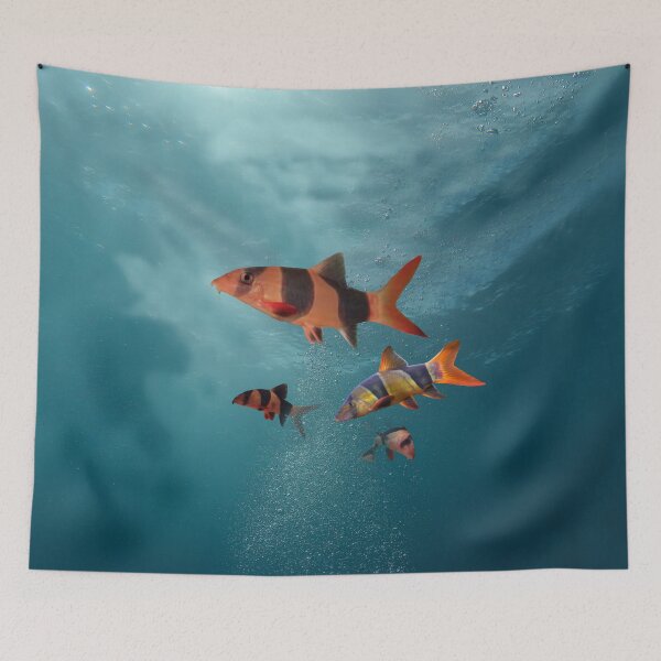 Item preview, CLOWN LOACH designed and sold by Danicus666.