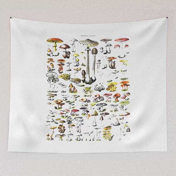 Item preview, Mushrooms Champignons designed and sold by anjaanjaier.