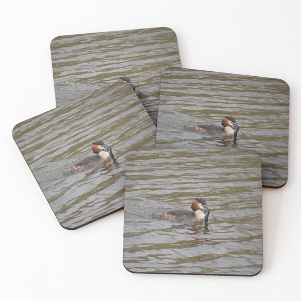Item preview, Great crested grebe with a fish designed and sold by AnneVisscher.