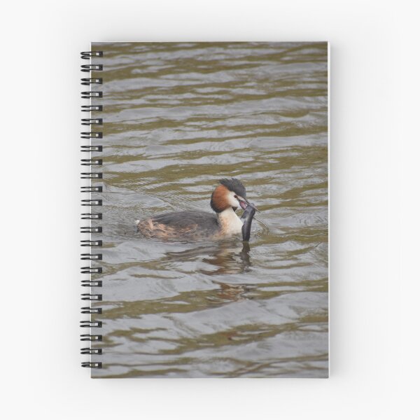 Item preview, Great crested grebe with a fish designed and sold by AnneVisscher.
