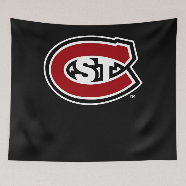 Item preview, St. Cloud State Huskies Essential T-Shirt.png designed and sold by williaburr.