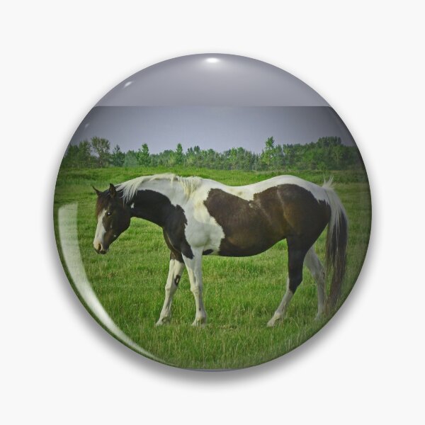 Item preview, Dark Pinto designed and sold by alabca.