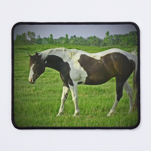 Item preview, Dark Pinto designed and sold by alabca.