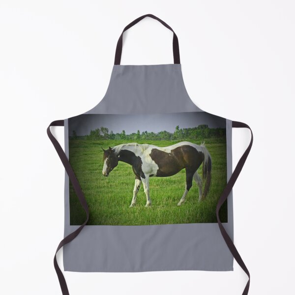 Item preview, Dark Pinto designed and sold by alabca.