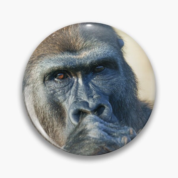 Item preview, Snacking Gorilla designed and sold by rawshutterbug.