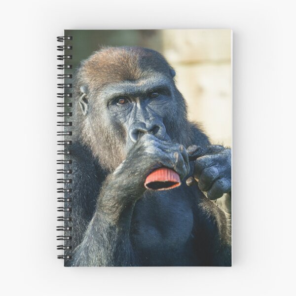 Item preview, Snacking Gorilla designed and sold by rawshutterbug.