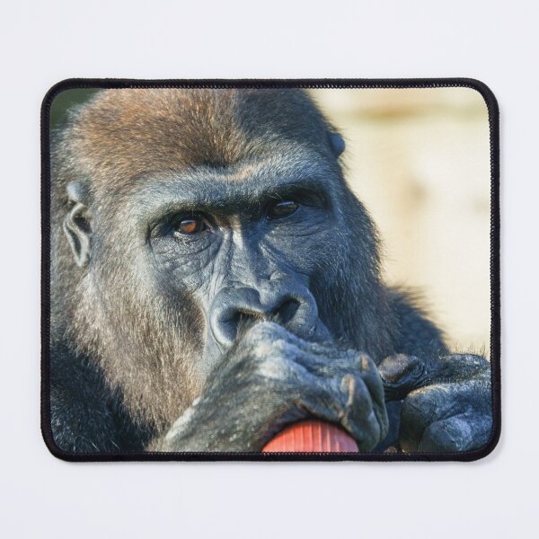 Item preview, Snacking Gorilla designed and sold by rawshutterbug.