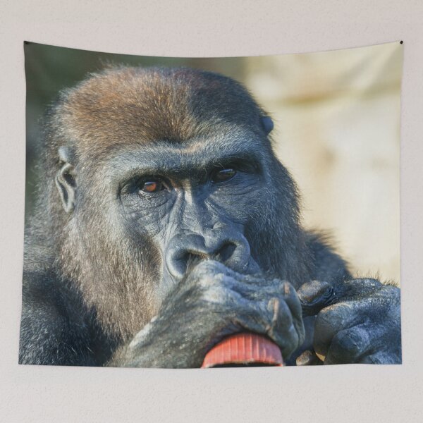 Item preview, Snacking Gorilla designed and sold by rawshutterbug.
