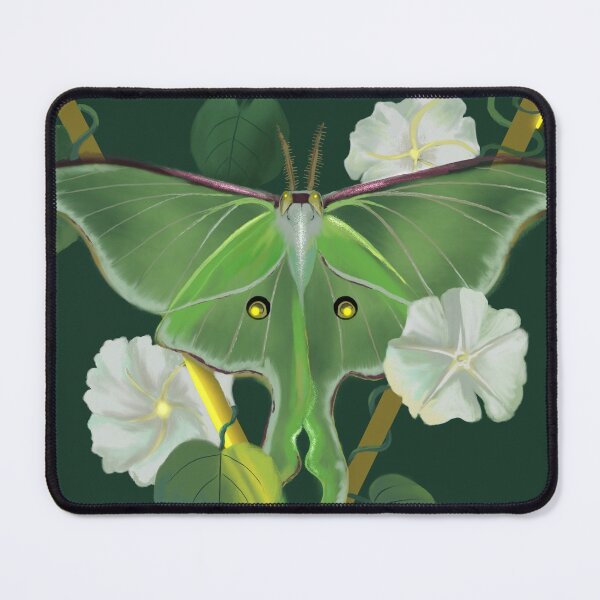 Item preview, Luna Moth  designed and sold by izzymariearts.