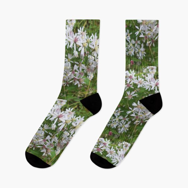 Item preview, Calico Aster Wildflower designed and sold by CapeCodGiftShop.