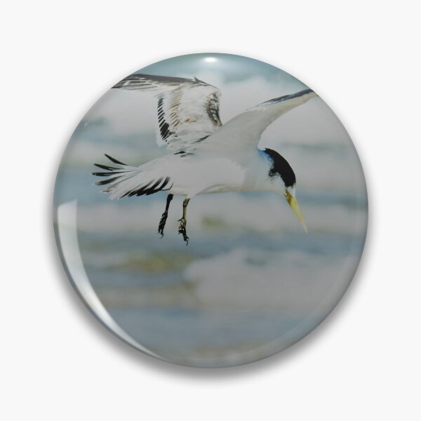 Item preview, Crested Tern takes flight as waves roll in designed and sold by imaginethis.