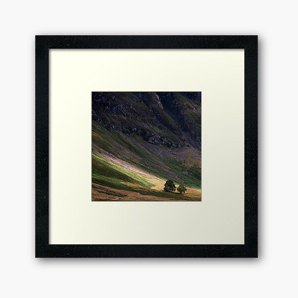 Shaft of Light Framed Art Print