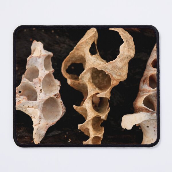 Item preview, Three Ghosts of Architects Past  designed and sold by Geoff Treagus.