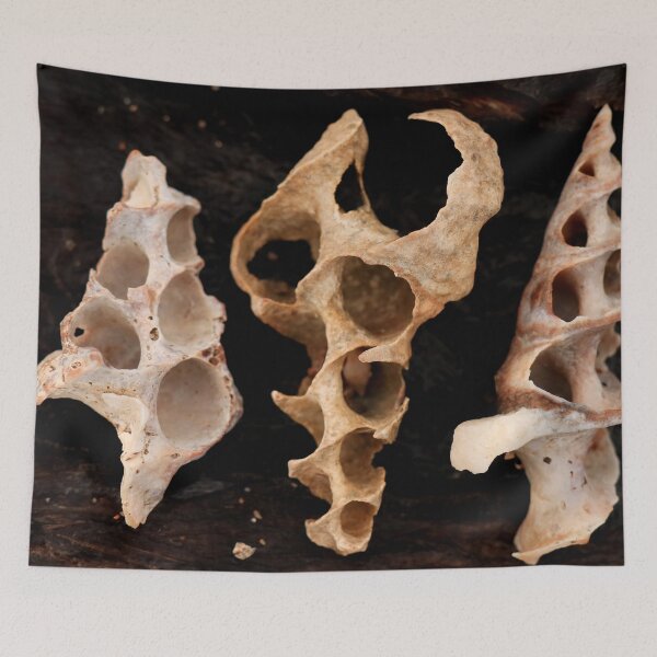 Item preview, Three Ghosts of Architects Past  designed and sold by Geoff Treagus.
