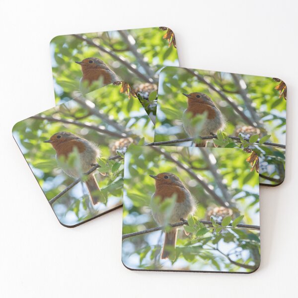 Item preview, Robin petirrojo en el verano designed and sold by cdkphotos.