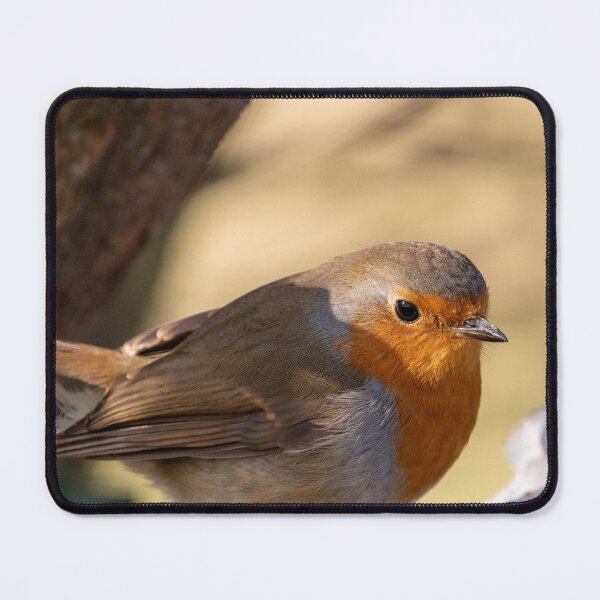 Item preview, Robin redbreast designed and sold by cdkphotos.