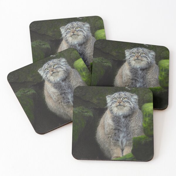 Item preview, Manuel the pallas's cat designed and sold by AnneVisscher.