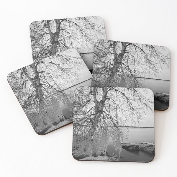 Item preview, Invierno vistió el abedul bw designed and sold by Jouko Lehto Photography.