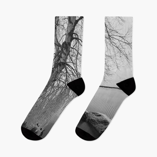 Item preview, Winter dressed the birch bw designed and sold by Jouko Lehto Photography.