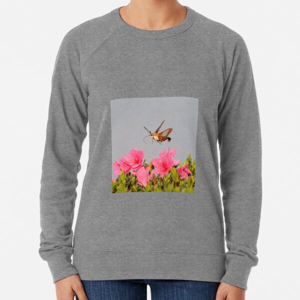 Flying Lobster Lightweight Sweatshirt