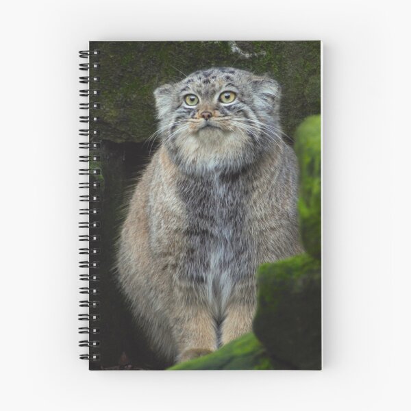 Item preview, Manuel the pallas's cat designed and sold by AnneVisscher.