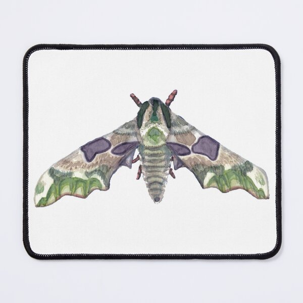 Item preview, Linden Sphynx Butterfly (dark) designed and sold by Pernelle-Opale.