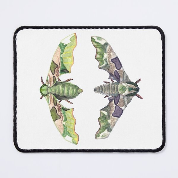 Item preview, Linden Sphynx Butterflies designed and sold by Pernelle-Opale.