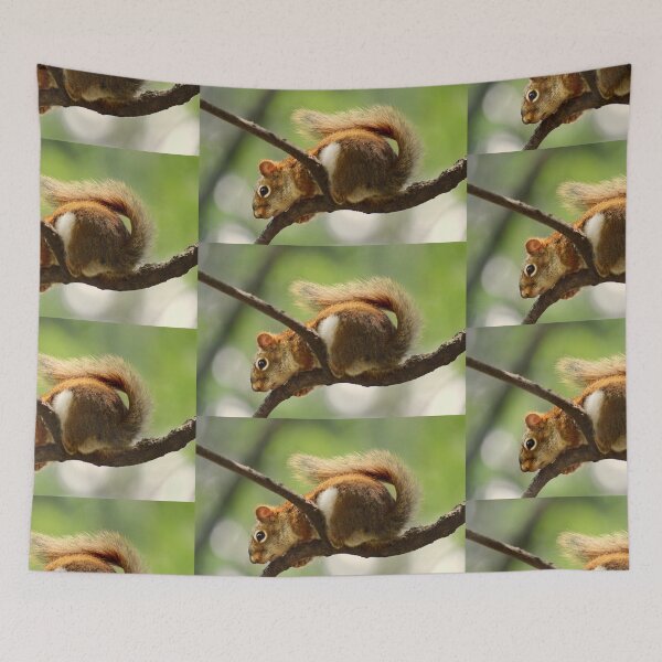 Item preview, Red Squirrel designed and sold by Laurie Minor.