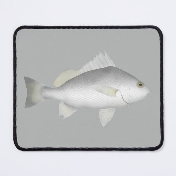 Item preview, Silver Grunt designed and sold by fishfolkart.
