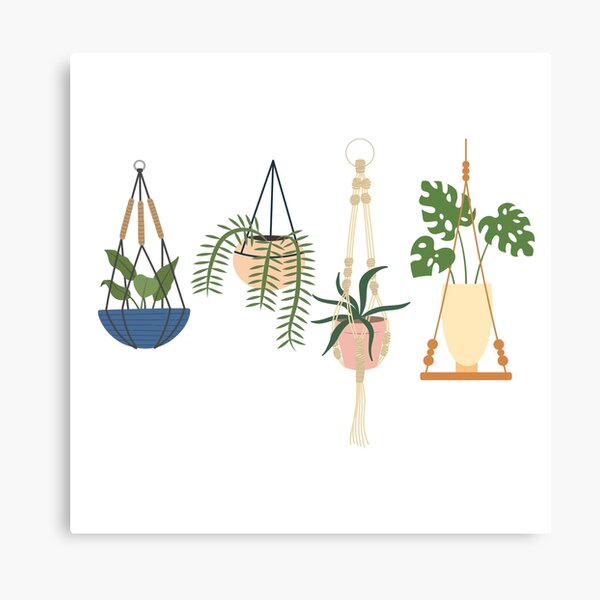 Item preview, Cute Hanging Planters For Gardner And Plant Lover - Hanging Planters designed and sold by lodarohit.